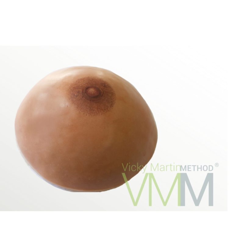 Vicky Martin Method Practice Breast Mound