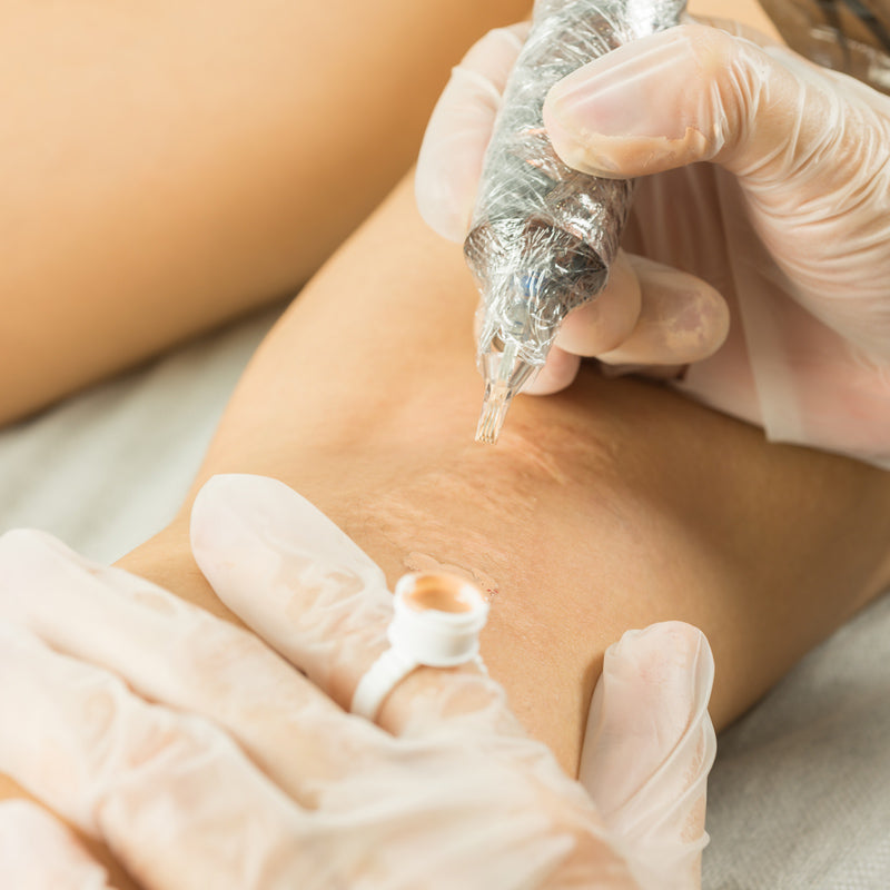 The Paramedical Fundamental