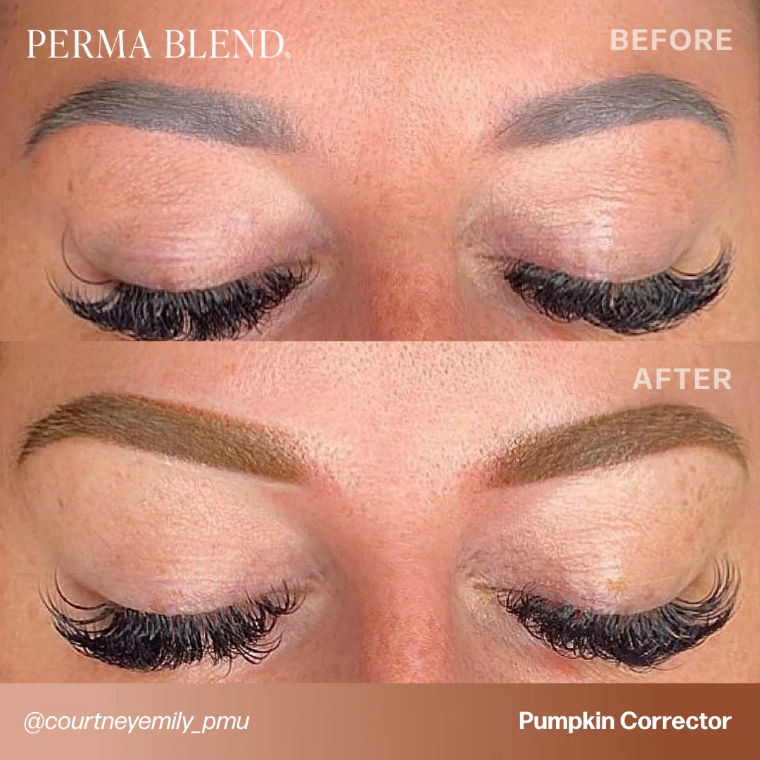 PermaBlend Corrector / Toner Pigments