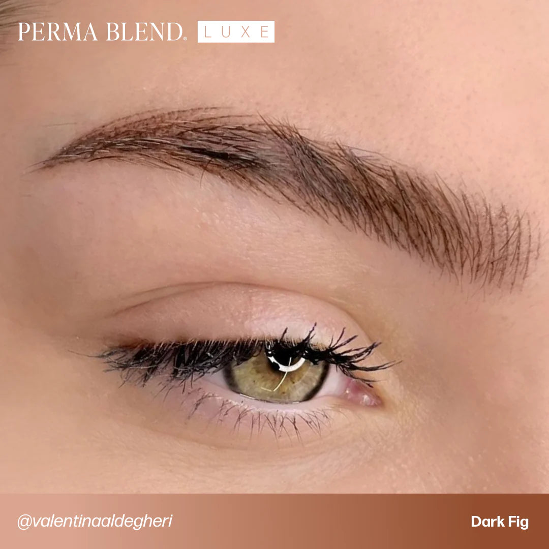 PermaBlend LUXE Eyebrow Pigments