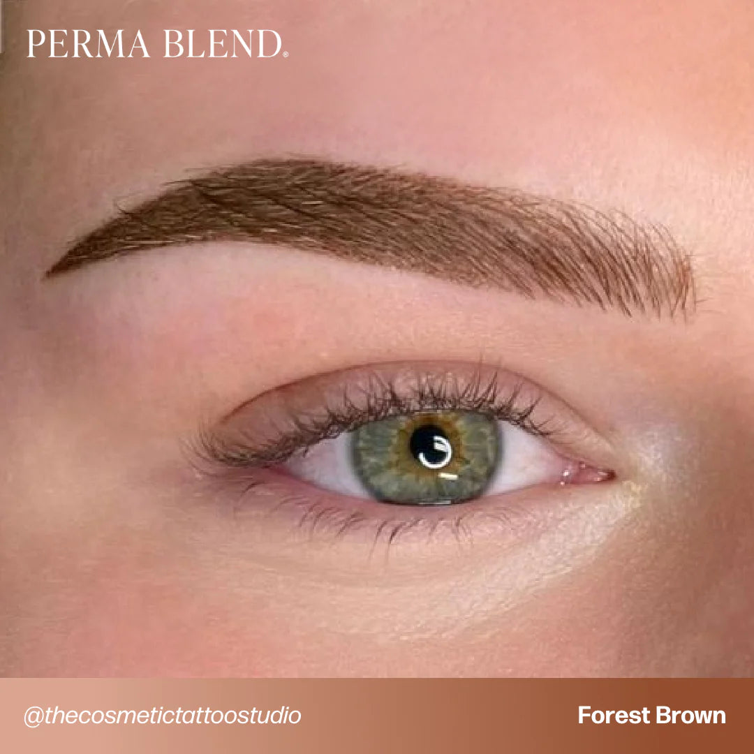 PermaBlend Eyebrow Pigments