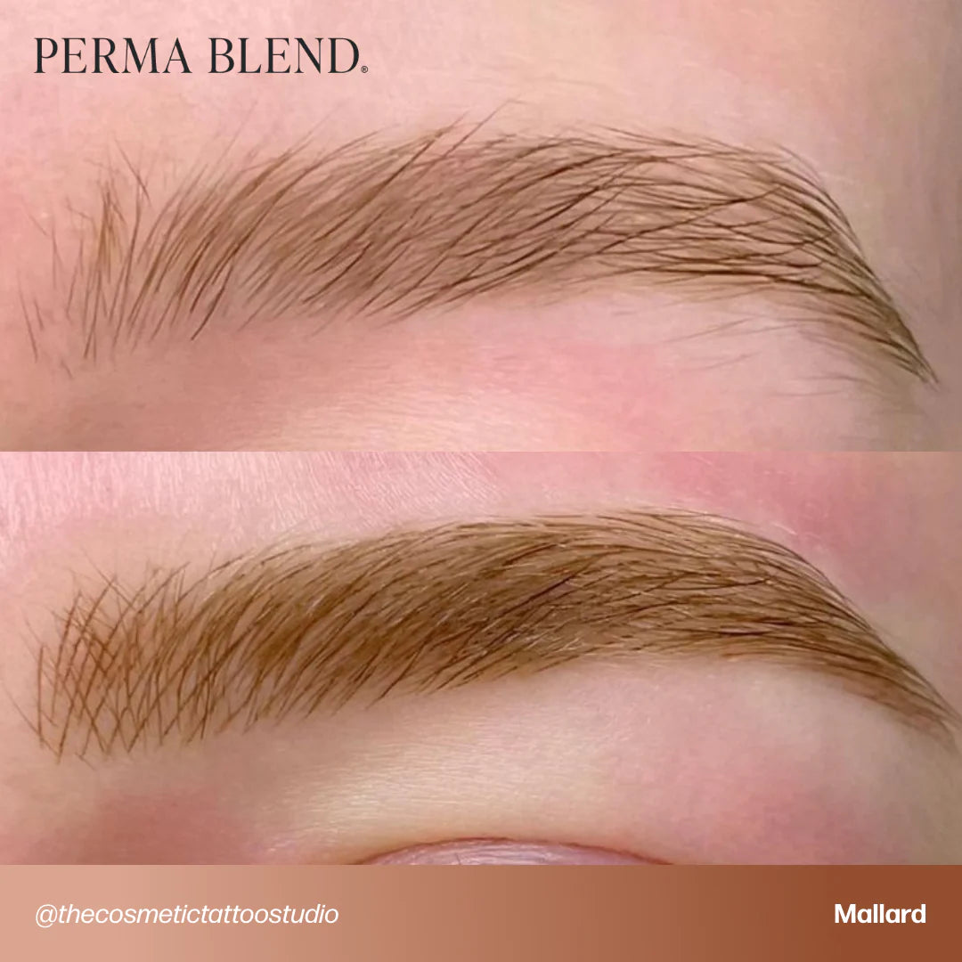 PermaBlend Eyebrow Pigments