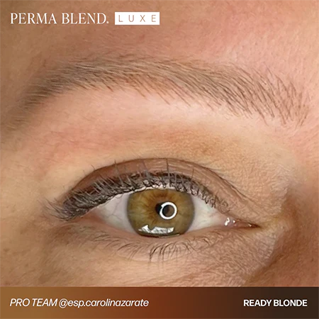 PermaBlend LUXE Eyebrow Pigments