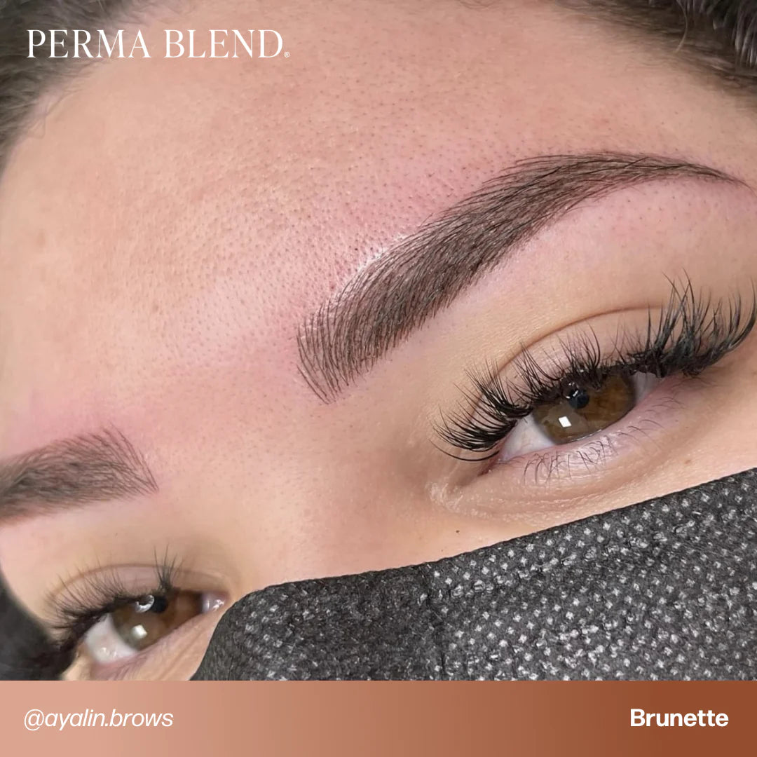 PermaBlend Eyebrow Pigments