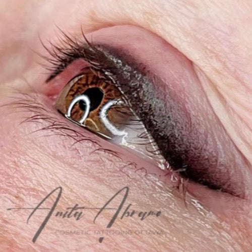 Anita Abramo Masterclass - Classic Brows, Eyes, and Lips